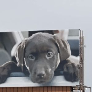 Meet your Posher, John